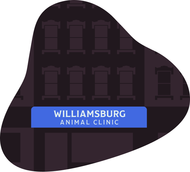 Williamsburg Animal Clinic